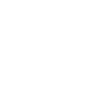 同伴者1名毎回無料