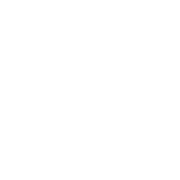 インストラクター指導あり